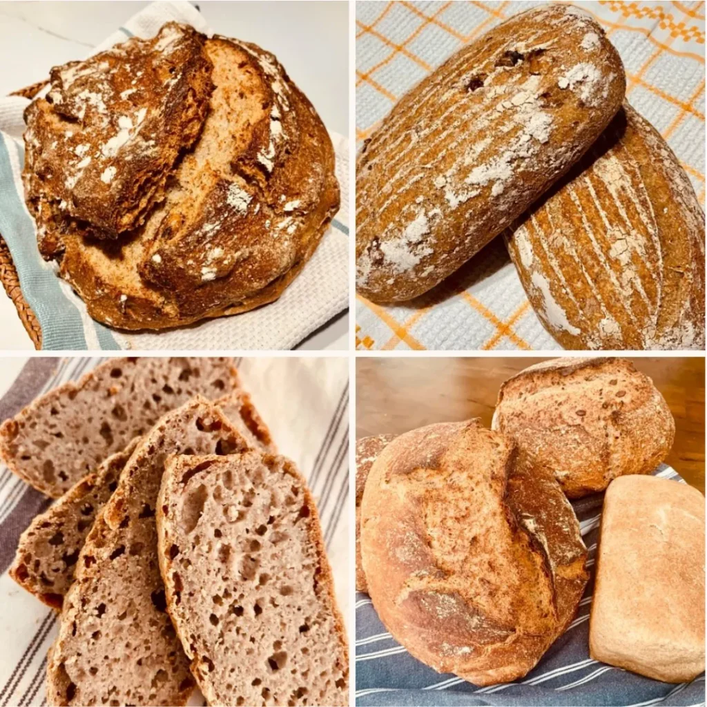 Sourdough bread benefits illustrated through different traditional loaves made using long fermentation techniques